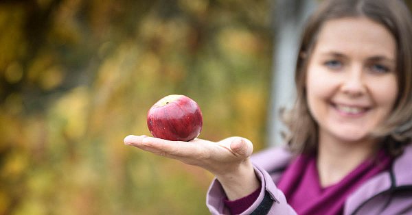 Ulcerózna kolitída a Crohnova choroba - ako žiť a jesť kvalitne